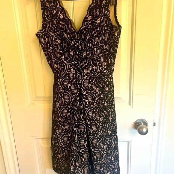 NWT warehouse brand dress size  2 black lace - Picture 7 of 8